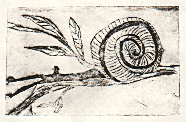 Snail