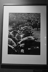 Exposition Doisneau. Château de Sully sur Loire.