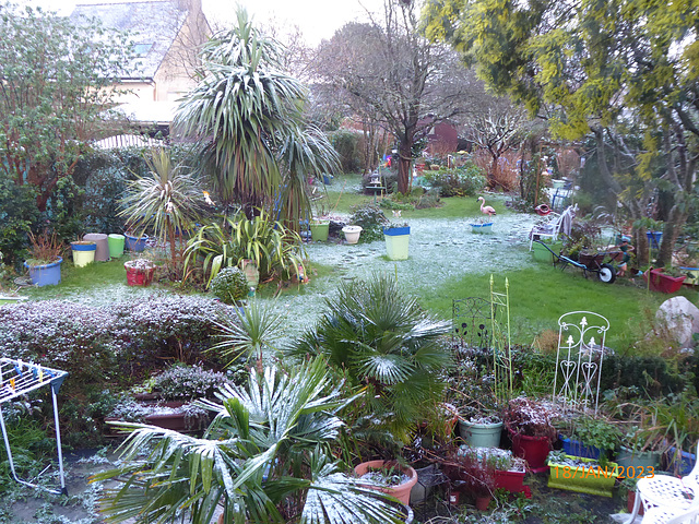 le jardin en hiver