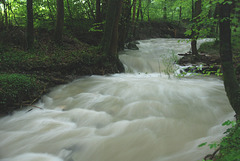 Hochwasser am Waldbächlein