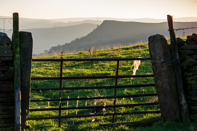 Peep O' Day: a farm gate