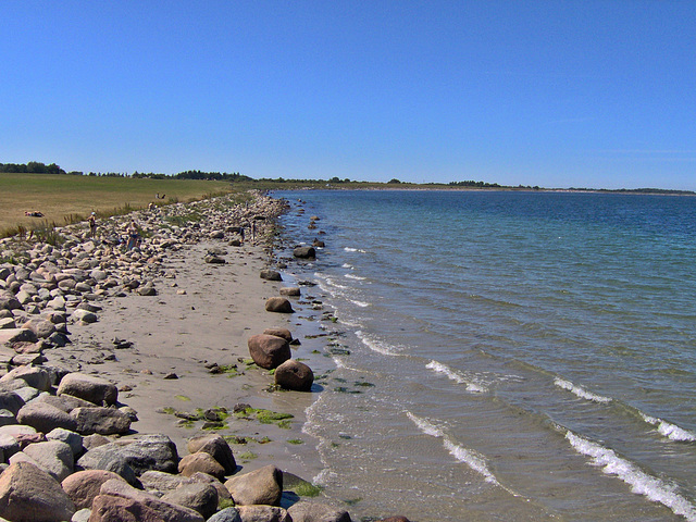 Strandleben ohne Strandkörbe