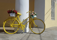 Bicyclette fleurie****************