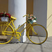 Bicyclette fleurie****************