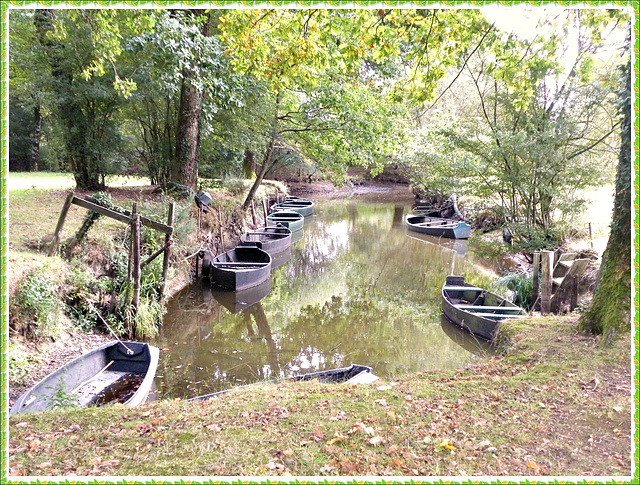 Promenade en chalands au parc naturel en Brière (44)