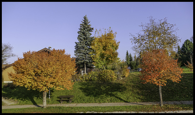 Herbstfarben am Kirchenweg