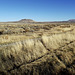 Site of WWII Japanese-American Segregation Camp