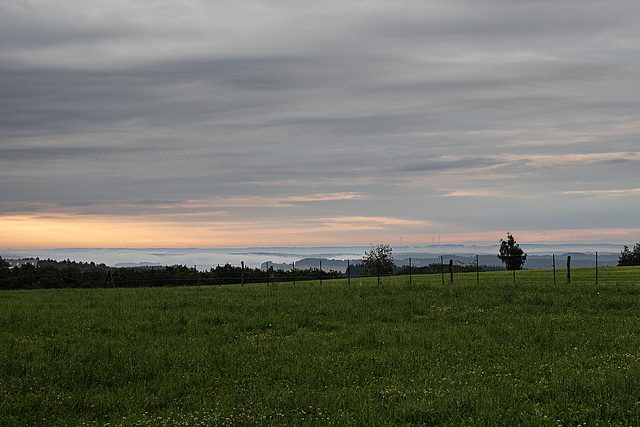 2025 365-212 2025 365-212