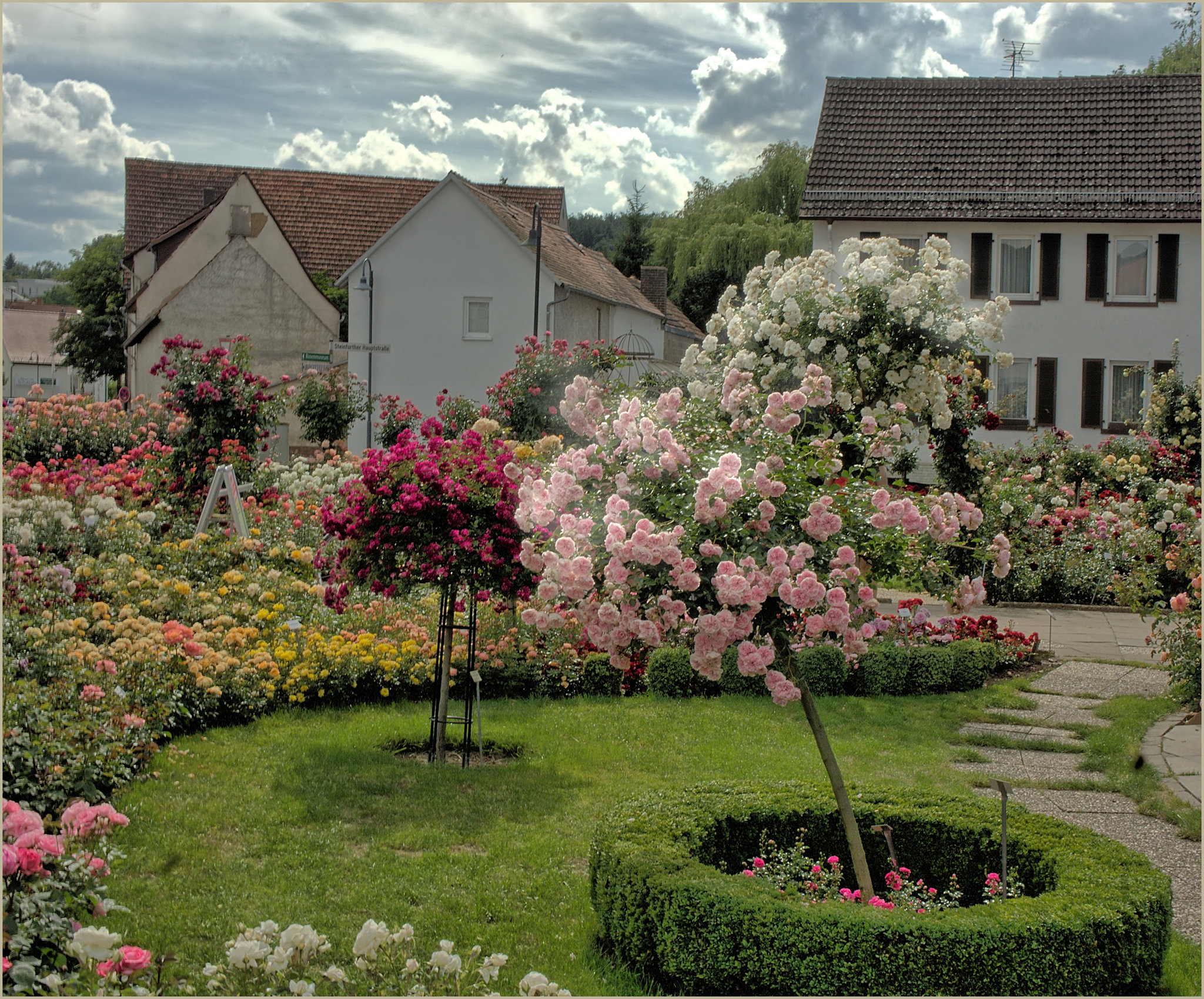 Steinfurth - Rosengarten