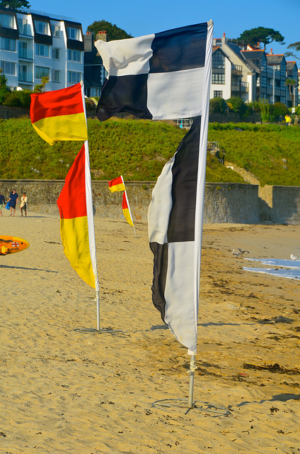 Windy beach in Falmouth