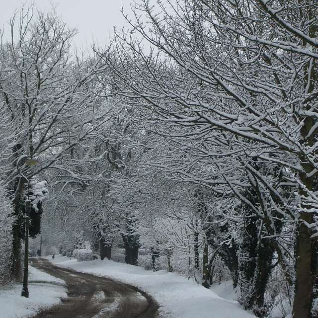 Fulbourn: Stonebridge Lane 2013-01-21