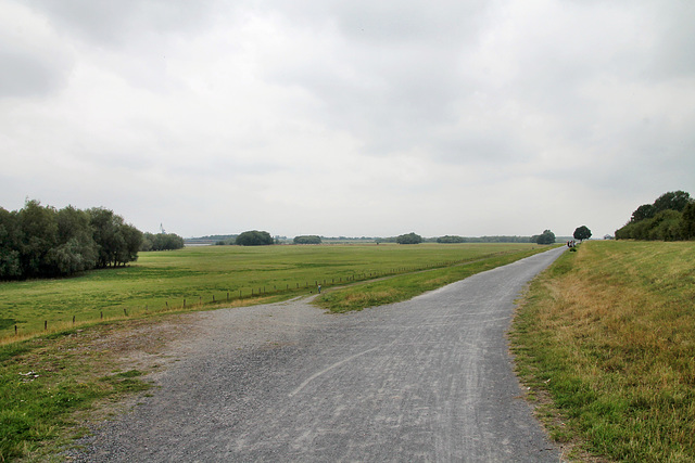 Weg auf dem Rheindeich (Duisburg-Walsum) / 16.07.2017