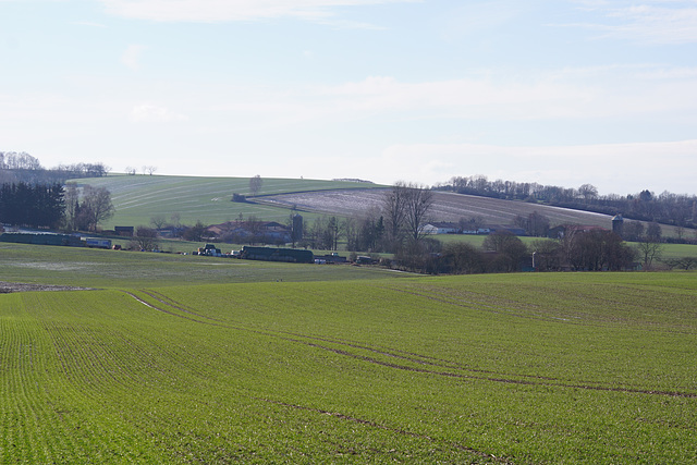 Blick nach Elbingerode