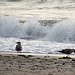 la mer est très agitée