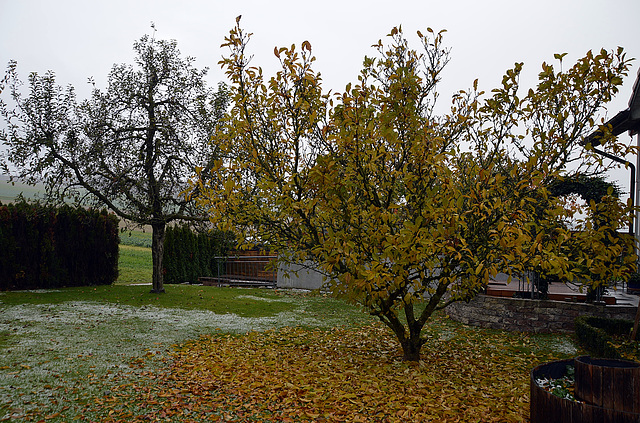 Zwischen Herbst und Winter