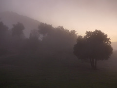 20241013 Rando Col de Bes (Cévennes) (123)