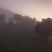 20241013 Rando Col de Bes (Cévennes) (123)
