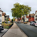 IMG 7559