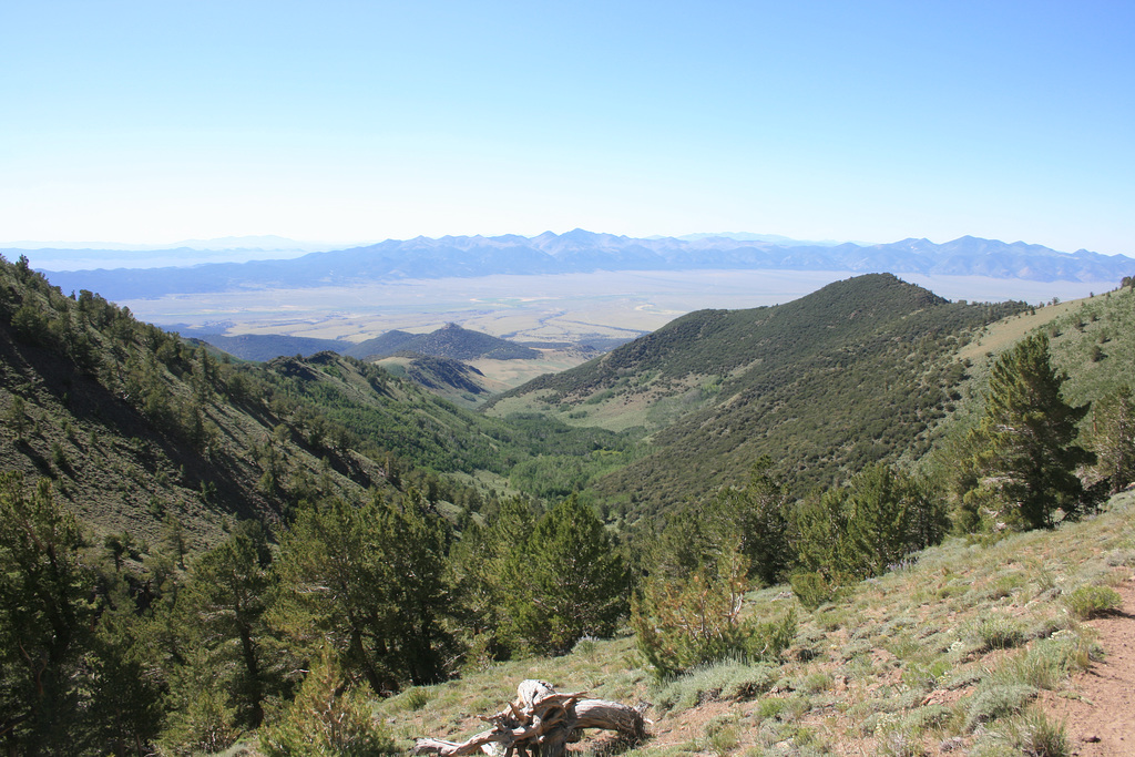 Stewart Creek and Reese River Valley