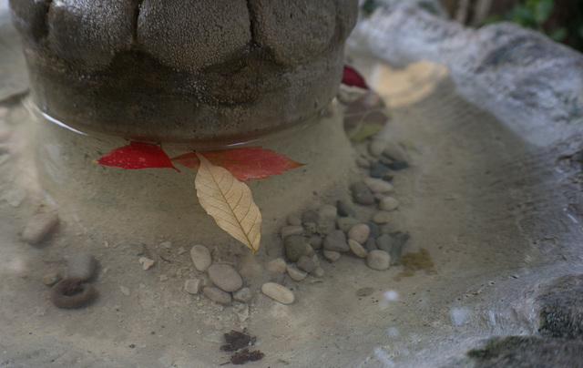 Fountain, autumn