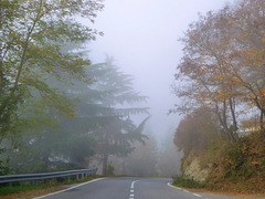 autunno in Langa