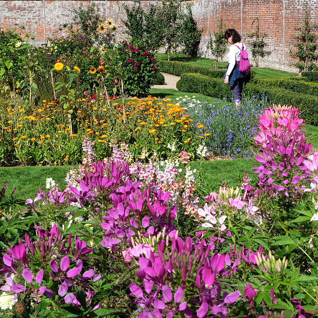 The Walled Garden