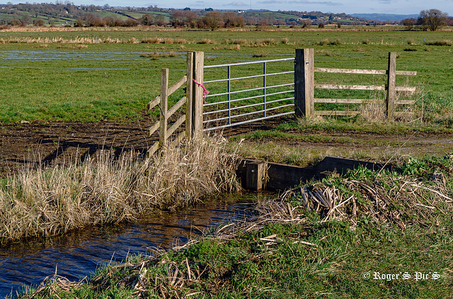 Short Fence