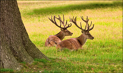 Time for a rest Time for a rest