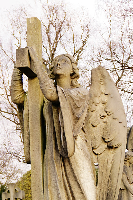 st. marylebone / east finchley cemetery, london