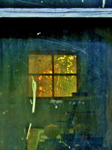 Windows and Through Them 1