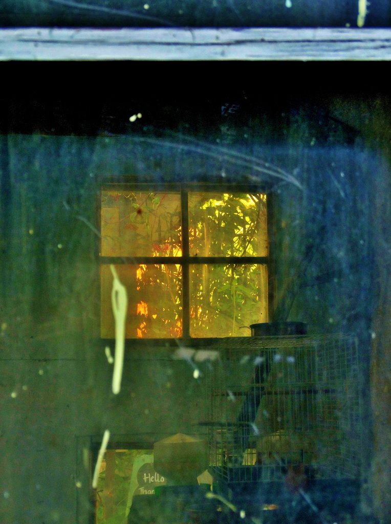 Windows and Through Them 1