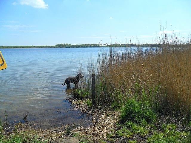 met bonnie naar het eesermeer bij steenwijk