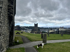 Aberystwyth castle