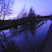 Reflective  blue hour