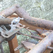 ISE - chassis inspection {13 of 16}