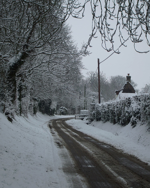 Fulbourn: Stonebridge Lane 2013-01-21