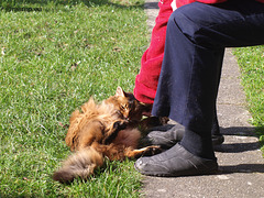 Rags cuddling with mama, 1