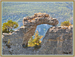 Dans les Cévennes (8)