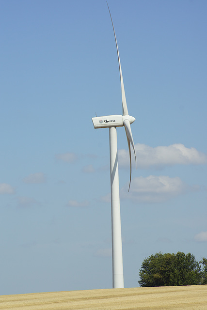 Windpark Badeleben 2019 455
