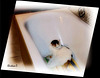 L'heure de la toilette !  ***  Time to wash up ! (:o))