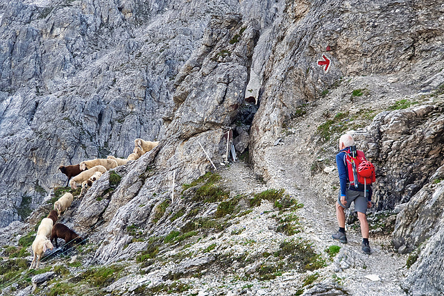 Ilmspitze (5 of 39)