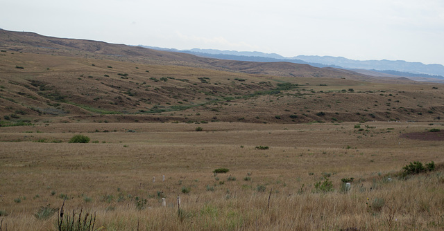 Little Bighorn Natl Mon MT (#0464)