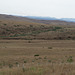 Little Bighorn Natl Mon MT (#0464)
