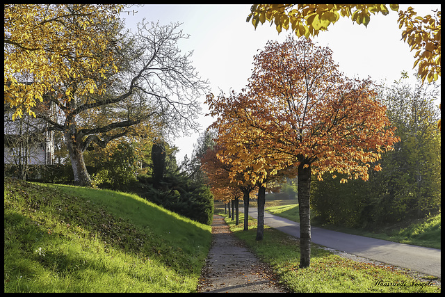 Herbstfarben am Kirchenweg