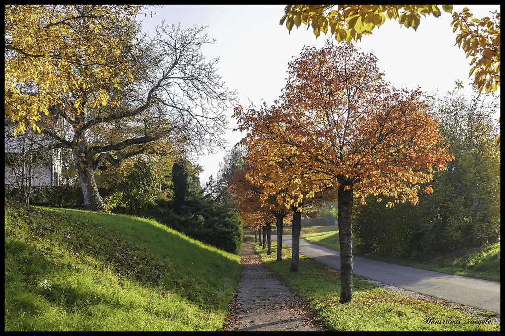 Herbstfarben am Kirchenweg