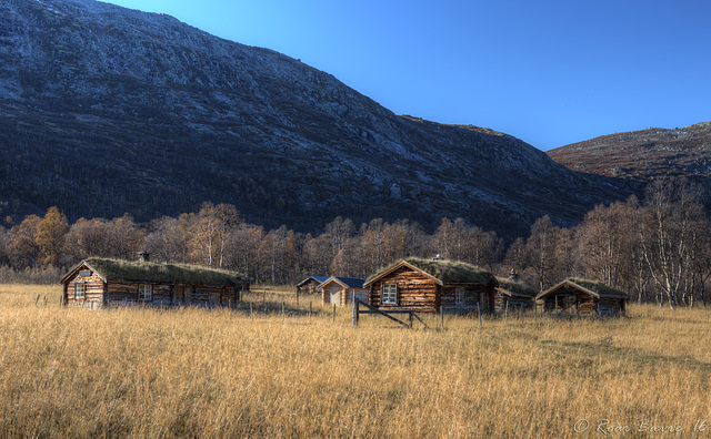 Vangan mountain farm