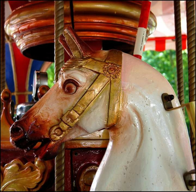 ... crazy horse... ... crazy horse...