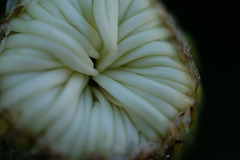 DSCF9295