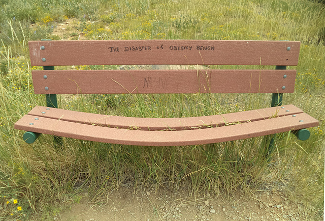 Les désastres de l'obésité / The disaster of obesity bench