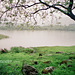 Elterwater (Scan from 1993)